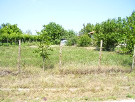 ������ - 3462 euro