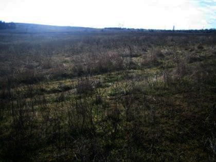 Land in rural Haskovo region near Topolovgrad Ref. No 2365