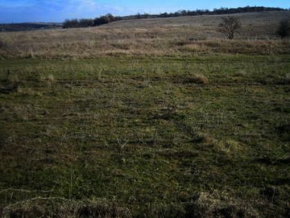 Bulgarian land in rural Haskovo region Ref. No 2369