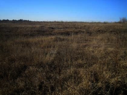 Plot of rural land near Svilengrad in Haskovo region Ref. No 2379