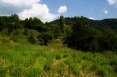 Land for sale in Pamporovo region Ref. No 122025