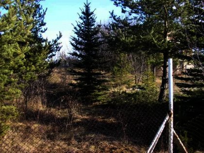 Good investment Land for sale near Borovets Ref. No 8492