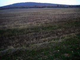 Land near Haskovo Invest in Bulgaria Ref. No 2330