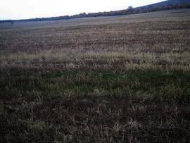 Land in Haskovo Property in Bulgaria Ref. No 2331