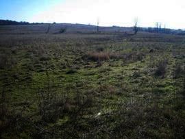 Land in Bulgaria Cheap Bulgarian property Ref. No 2367