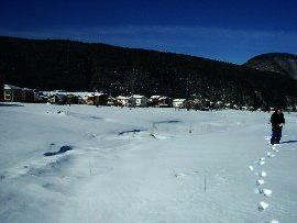 Land for sale near Borovets.Good investment in Bulgaria Ref. No 8396