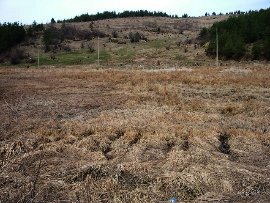 Land for sale near Borovets.Property in Bulgaria Ref. No 8410