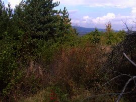 Land for sale near Borovets.Property in Bulgaria Ref. No 8345