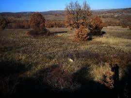 Land near Haskovo Bulgaria Ref. No 2368