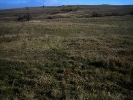Land near Haskovo Cheap property Bulgaria Ref. No 2371
