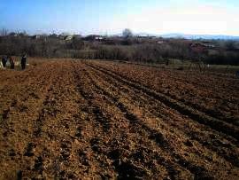 Land in Haskovo Property in Bulgaria Ref. No 2397