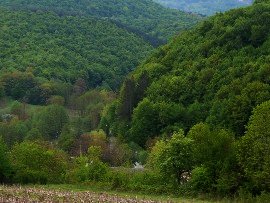 Property in Bulgaria Developement land in Gabrovo Ref. No 58114