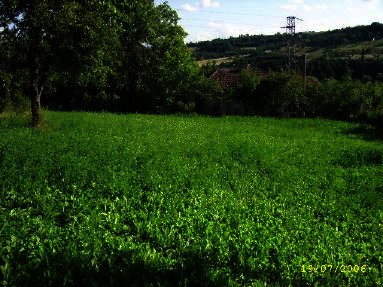 Attractive plot of land in Lovech region. Ref. No 014