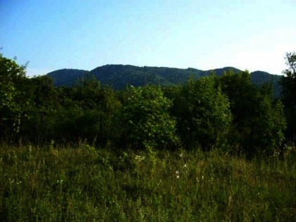 Land for sale near Veliko Tarnovo.Bulgarian property. Ref. No 26145