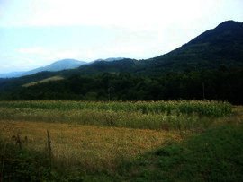 A land for sale near Veliko Tarnovo.Property in Bulgaria. Ref. No 594157