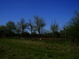 Perfect land for investment in Pleven region Ref. No 5310