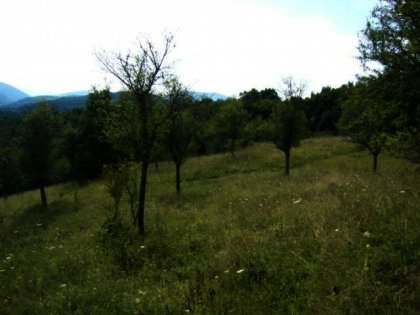 Land for sale near Veliko Tarnovo.Bulgarian property. Ref. No 594053