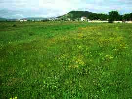 Development land near Borovets in Bulgaria Ref. No 8541