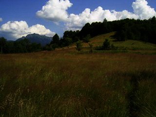 Land in Apriltsi Bulgarian property Ref. No 58159
