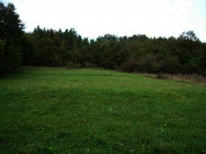 Agricultural plot of land near Gabrovo Ref. No 591049
