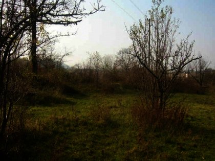 Agricultural land for sale near Gabrovo Ref. No 59045