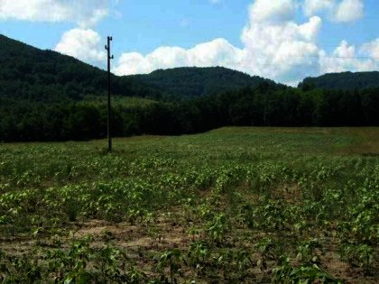 Huge plot of land near Gabrovo Ref. No 591022