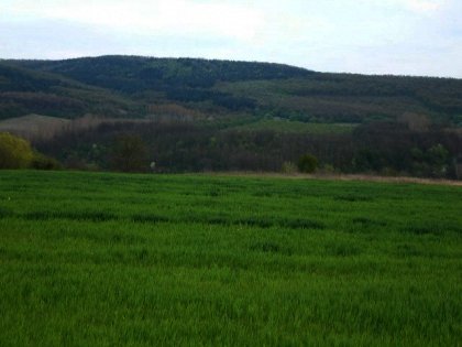 Plot of agricultural land near gabrovo Ref. No 591070