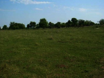 A huge plot of land near Pleven in Bulgaria Ref. No 55160