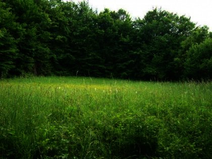 A fairly sized plot of land in Bulgaria near Troyan Ref. No 592059