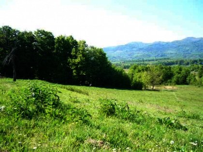 Huge plot of bulgarian land for sale in picturesque area  Ref. No 593070