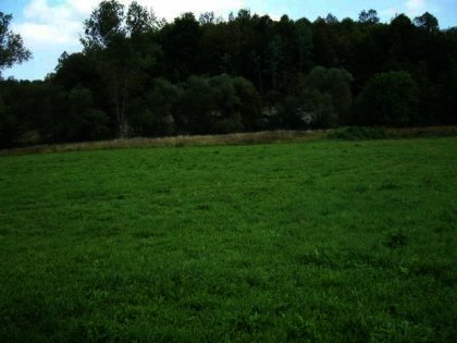 Huge plot of land for sale near Troyan Bulgaria Ref. No 593029