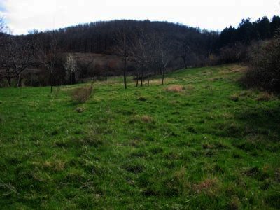 Regulated plot of land for sale ,close to Rodopi Mountain Ref. No L0003