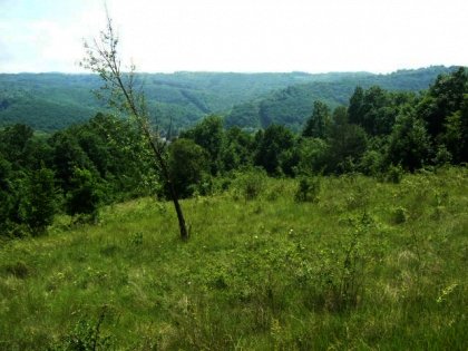 A big plot of land in a cosy mountain region. Ref. No 594224