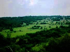 agricultural plot of bulgarian land for sale near Veliko Tarnovo Ref. No 594021