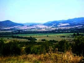 Plot of bulgarian land for sale near Veliko Tarnovo Ref. No 594171