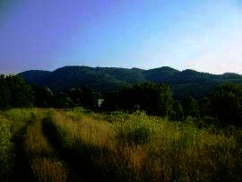 Land for sale near Veliko Tarnovo Ref. No 594145