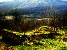 Land for sale near Veliko Tarnovo Ref. No 594082