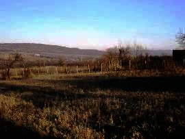 Rural property in north Bulgaria Ref. No 594179
