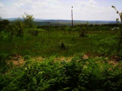 Land near Sevlievo Property in Bulgaria Ref. No 59094