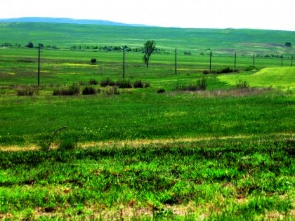 Bulgarian land near Elhovo Ref. No 53212