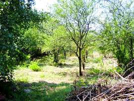 Land in regulation near Pleven Ref. No 5104