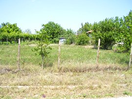 Good investment in bulgarian land Pleven region Ref. No 5105