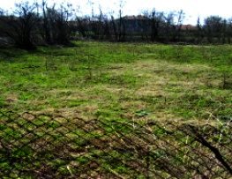 Land for sale in Bulgaria near the popular Elhovo Ref. No NS-skal13