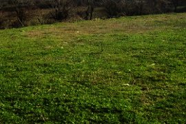 A piece of bulgarian land for sale near Elhovo Ref. No NS-dobr04