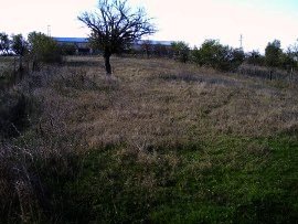 Land for sale in Bulgaria near Elhovo Ref. No NS-izv10