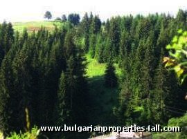 Land for sale in Pamporovo invest in Bulgaria Ref. No 122008