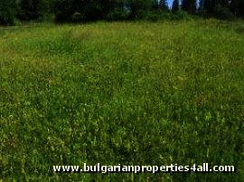 Plot of land near ski resort of Pamporovo property investment Ref. No 122009