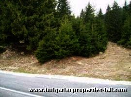 Land for sale near Pamporovo ski resort Ref. No 122083