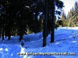 Land for sale in Pamporovo ski resort . Ref. No 122075