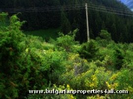 Land near Pamporovo ski resort invest in Bulgaria Ref. No 122074